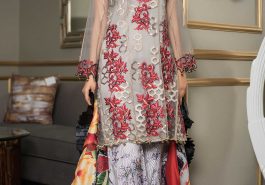 Beautiful grey net Pakistani embroidery suit by Sifona